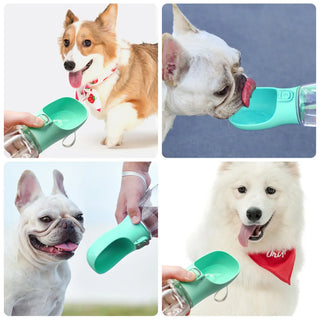 Tragbare Hundewasserflasche, Futter- und Wasserbehälter für Hunde